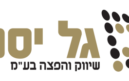 כללי