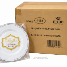 צלחת 10 לבן פס כסף א10[12 בקרטון]